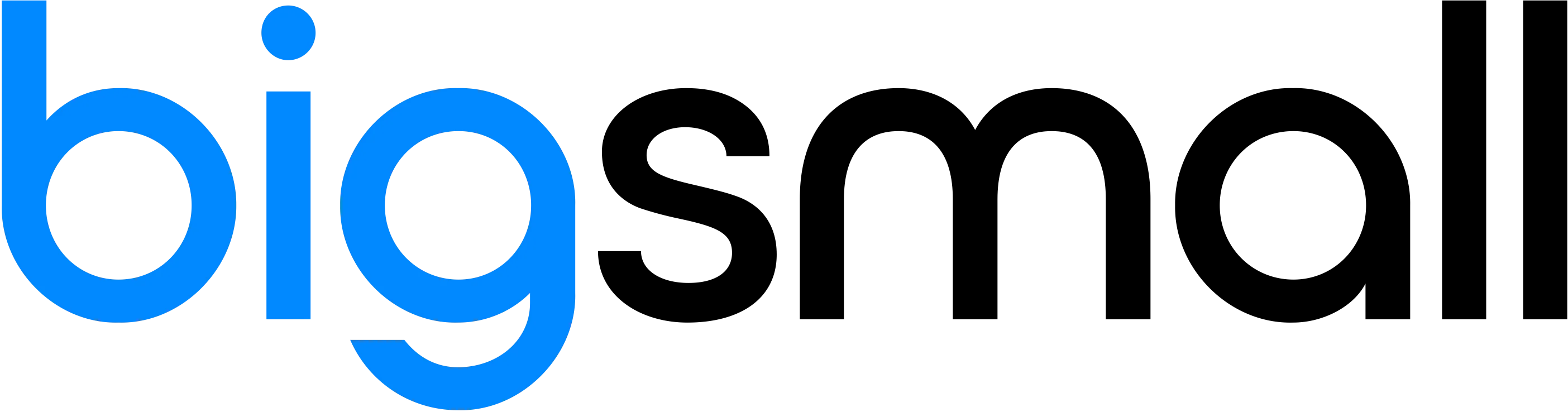 Bigsmall logo