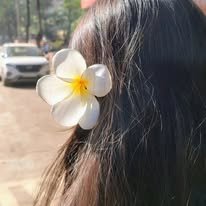 Warisha Ali