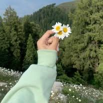 Uzrat Aara
